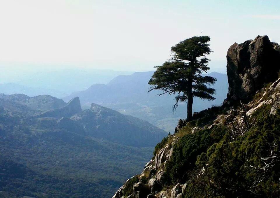 Casa La Vega ξενώνας El Bosque Εξωτερικό φωτογραφία
