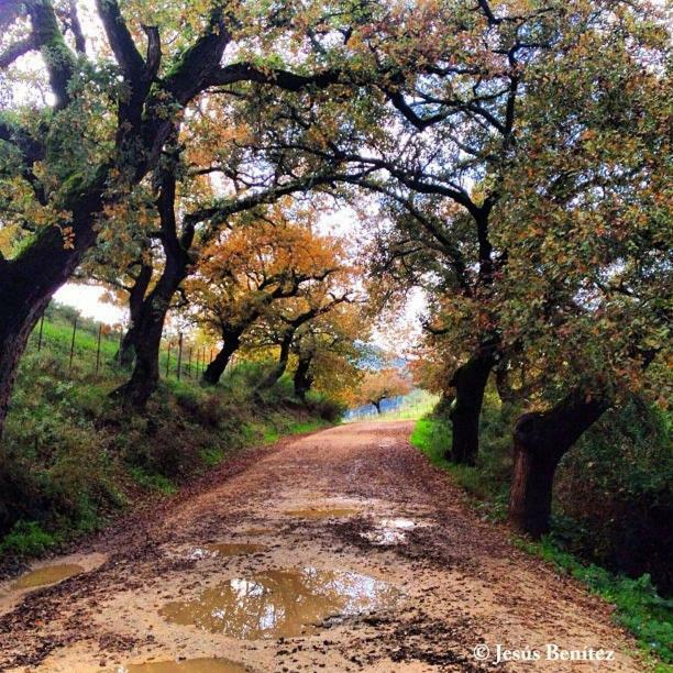 Casa La Vega ξενώνας El Bosque Εξωτερικό φωτογραφία